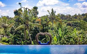 Paradise Villa Pool Kitchen Spa Private Lebah Villas CHSE Cert